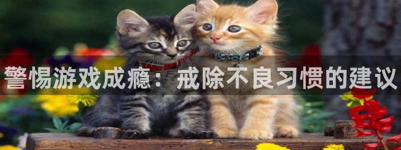 奇亿娱乐手机网页版登录：警惕游戏成瘾：戒除不良习惯的建议