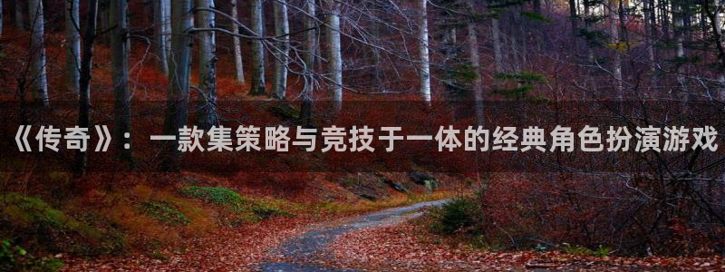奇亿娱乐网址注册：《传奇》：一款集策略与竞技于一体的经典角色