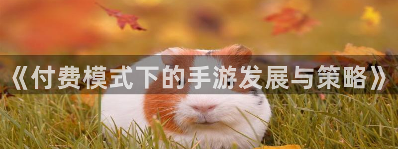 奇亿娱乐平台官网入口：《付费模式下的手游发展与策略》