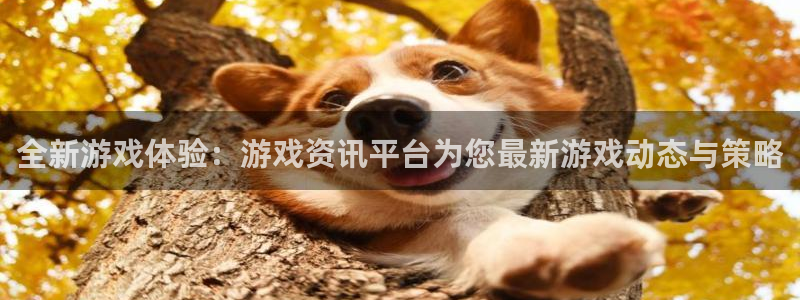 奇亿娱乐平台官网客服电话：全新游戏体验：游戏资讯平台为您最新