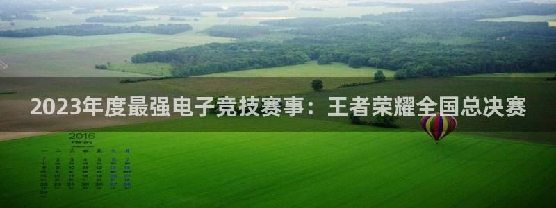 奇亿娱乐的意思：2023年度最强电子竞技赛事：王者荣耀全国总