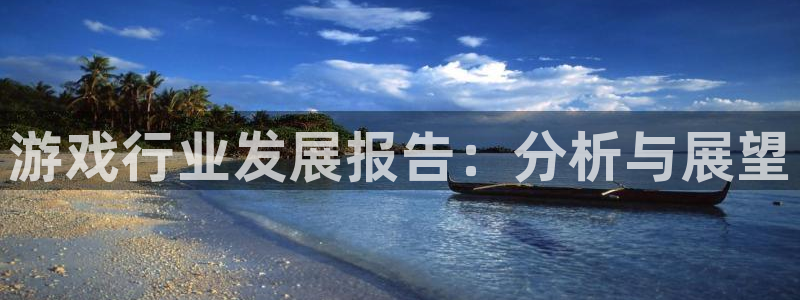 奇亿娱乐平台登录入口：游戏行业发展报告：分析与展望
