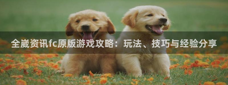 奇亿娱乐什么意思：全崴资讯fc原版游戏攻略：玩法、技巧与经验