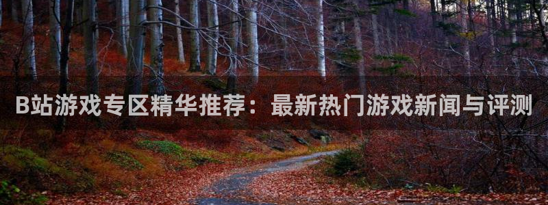 奇亿娱乐4主管：B站游戏专区精华推荐：最新热门游戏新闻与评测