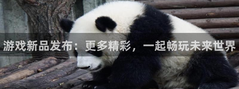 奇亿娱乐平台：游戏新品发布：更多精彩，一起畅玩未来世界
