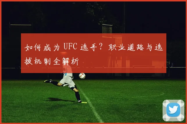 如何成为 UFC 选手?职业道路与选拔机制全解析