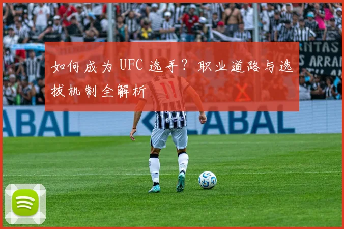 如何成为 UFC 选手？职业道路与选拔机制全解析