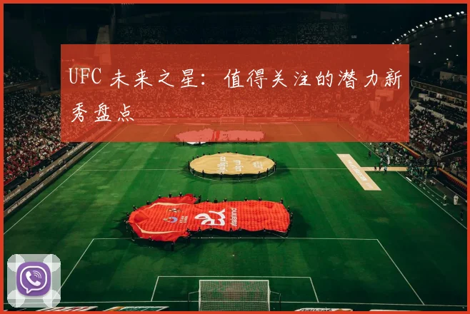 UFC 未来之星:值得关注的潜力新秀盘点