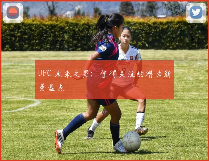UFC 未来之星:值得关注的潜力新秀盘点